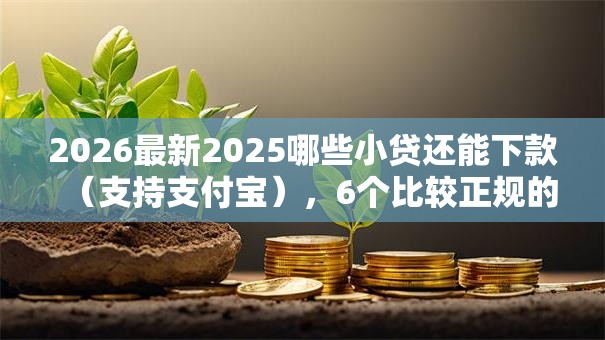 2026最新2025哪些小贷还能下款（支持支付宝），6个比较正规的贷款平台无私分享