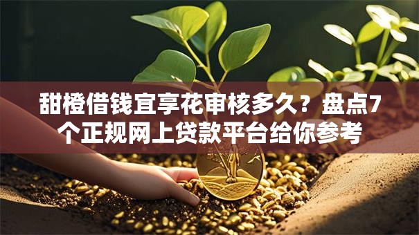 甜橙借钱宜享花审核多久？盘点7个正规网上贷款平台给你参考