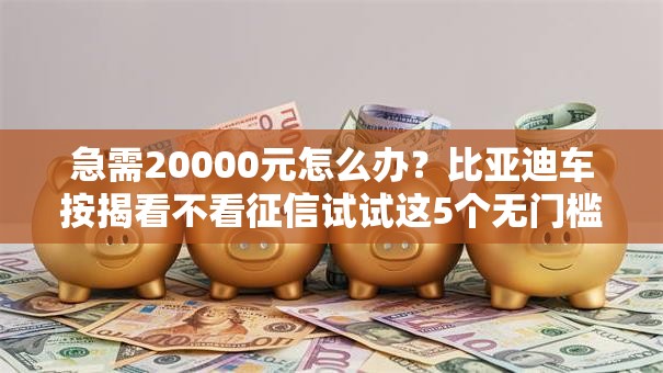 急需20000元怎么办？比亚迪车按揭看不看征信试试这5个无门槛平台