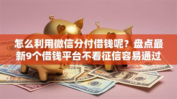 怎么利用微信分付借钱呢？盘点最新9个借钱平台不看征信容易通过的口子