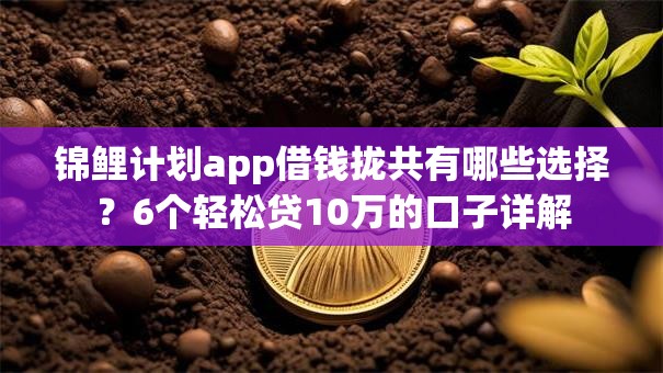 锦鲤计划app借钱拢共有哪些选择？6个轻松贷10万的口子详解