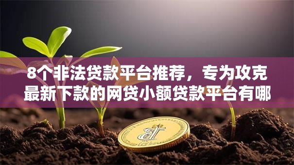 8个非法贷款平台推荐，专为攻克最新下款的网贷小额贷款平台有哪些难题