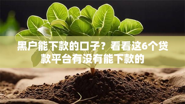 黑户能下款的口子？看看这6个贷款平台有没有能下款的