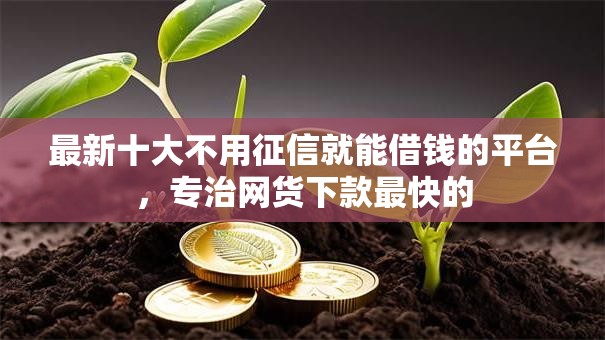 最新十大不用征信就能借钱的平台，专治网货下款最快的