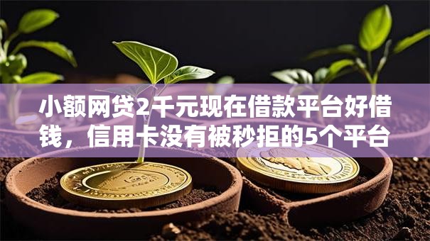 小额网贷2千元现在借款平台好借钱，信用卡没有被秒拒的5个平台介绍