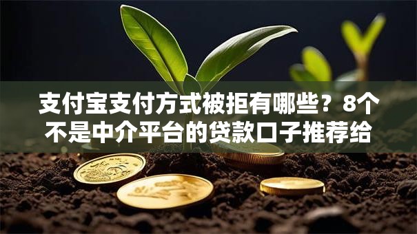 支付宝支付方式被拒有哪些？8个不是中介平台的贷款口子推荐给你