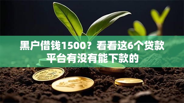 黑户借钱1500？看看这6个贷款平台有没有能下款的