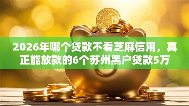 2026年哪个贷款不看芝麻信用，真正能放款的6个苏州黑户贷款5万的平台推荐