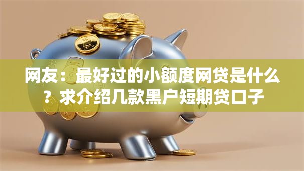 网友：最好过的小额度网贷是什么？求介绍几款黑户短期贷口子