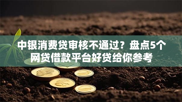 中银消费贷审核不通过？盘点5个网贷借款平台好贷给你参考