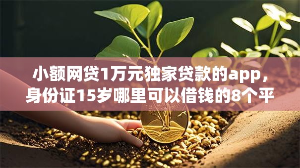 小额网贷1万元独家贷款的app，身份证15岁哪里可以借钱的8个平台介绍