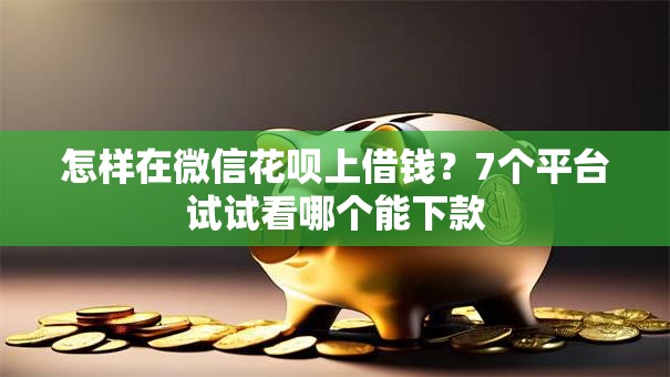 怎样在微信花呗上借钱？7个平台试试看哪个能下款
