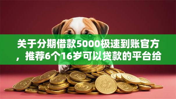 关于分期借款5000极速到账官方，推荐6个16岁可以贷款的平台给你