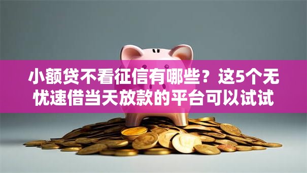 小额贷不看征信有哪些？这5个无忧速借当天放款的平台可以试试