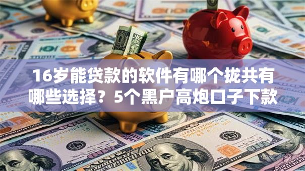 16岁能贷款的软件有哪个拢共有哪些选择？5个黑户高炮口子下款的2025详解