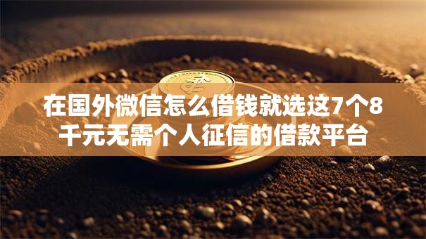 在国外微信怎么借钱就选这7个8千元无需个人征信的借款平台