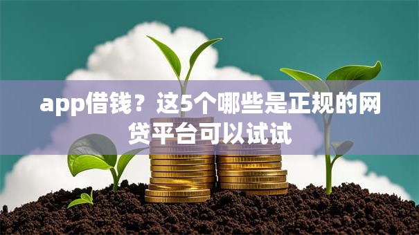 app借钱？这5个哪些是正规的网贷平台可以试试