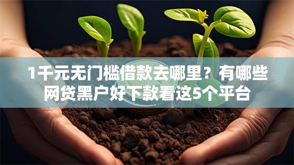 1千元无门槛借款去哪里？有哪些网贷黑户好下款看这5个平台