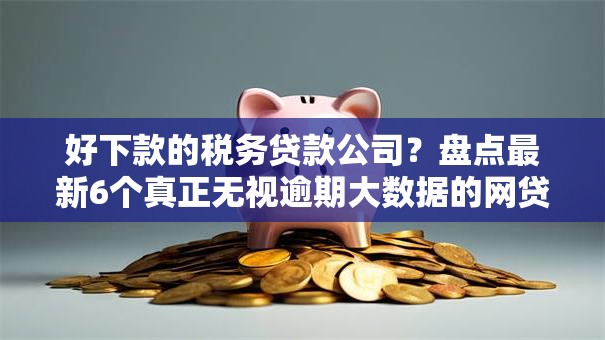 好下款的税务贷款公司？盘点最新6个真正无视逾期大数据的网贷平台