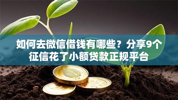 如何去微信借钱有哪些？分享9个征信花了小额贷款正规平台