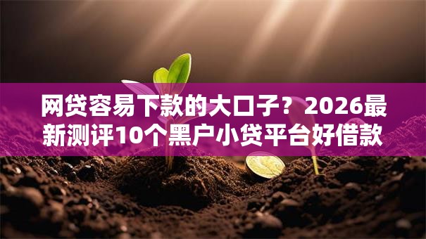 网贷容易下款的大口子？2026最新测评10个黑户小贷平台好借款