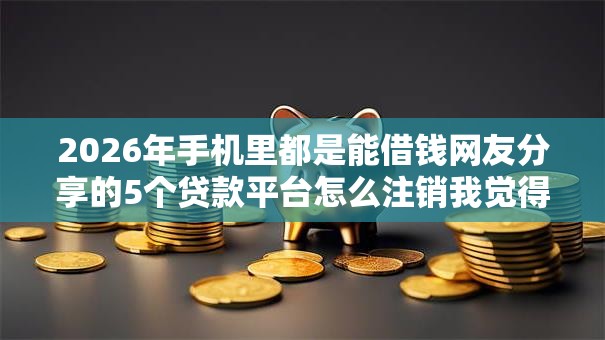 2026年手机里都是能借钱网友分享的5个贷款平台怎么注销我觉得不错！