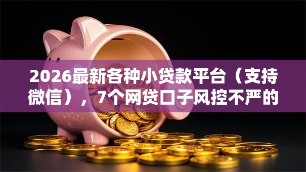 2026最新各种小贷款平台(支持微信),7个网贷口子风控不严的平台无私分享 2026最新各种小贷款平台(支持微信),7个网贷口子风控不严的平台无私分享