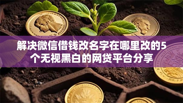 解决微信借钱改名字在哪里改的5个无视黑白的网贷平台分享
