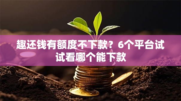 趣还钱有额度不下款？6个平台试试看哪个能下款