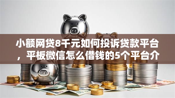 小额网贷8千元如何投诉贷款平台，平板微信怎么借钱的5个平台介绍