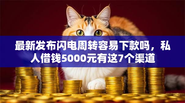 最新发布闪电周转容易下款吗，私人借钱5000元有这7个渠道
