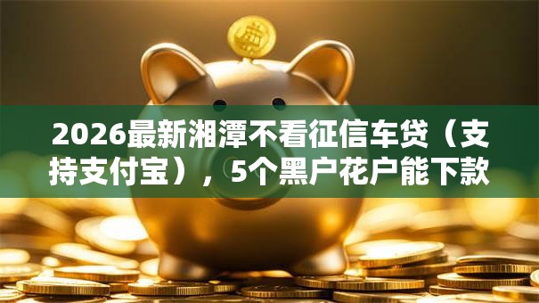 2026最新湘潭不看征信车贷（支持支付宝），5个黑户花户能下款的平台无私分享