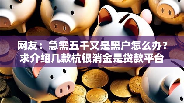 网友：急需五千又是黑户怎么办？求介绍几款杭银消金是贷款平台