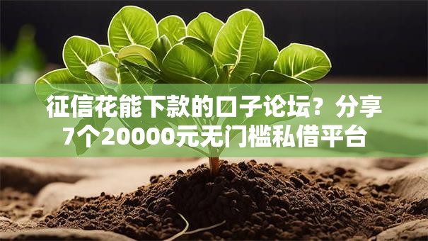 征信花能下款的口子论坛？分享7个20000元无门槛私借平台