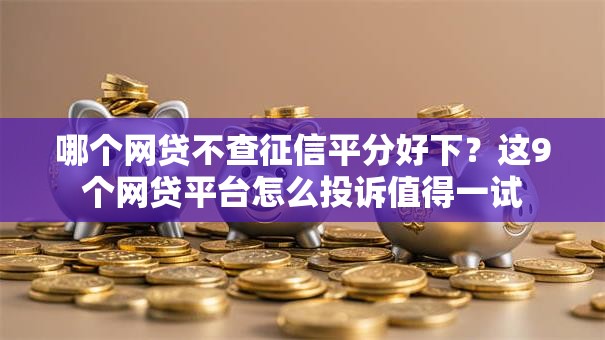 哪个网贷不查征信平分好下？这9个网贷平台怎么投诉值得一试
