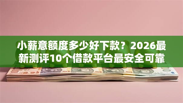 小薪意额度多少好下款？2026最新测评10个借款平台最安全可靠利息低
