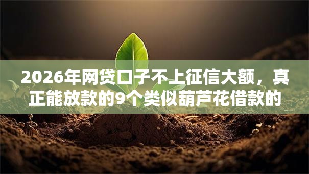 2026年网贷口子不上征信大额，真正能放款的9个类似葫芦花借款的平台推荐