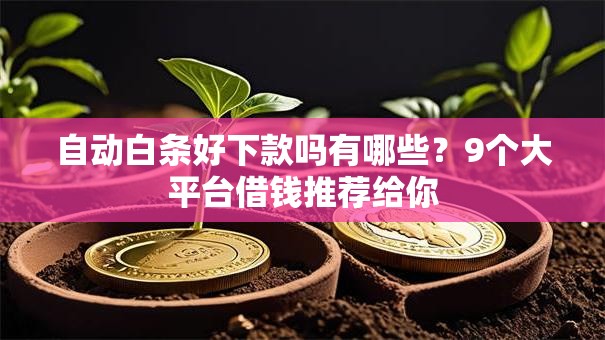 自动白条好下款吗有哪些？9个大平台借钱推荐给你
