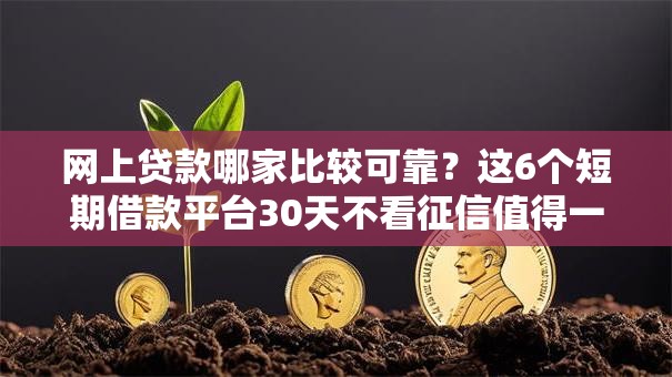 网上贷款哪家比较可靠？这6个短期借款平台30天不看征信值得一试