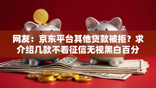 网友：京东平台其他贷款被拒？求介绍几款不看征信无视黑白百分百下款口子