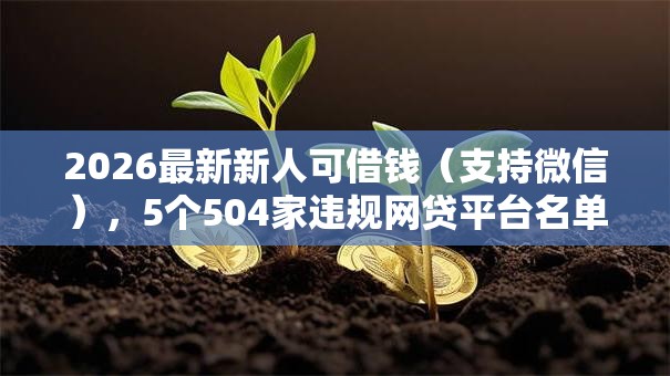 2026最新新人可借钱（支持微信），5个504家违规网贷平台名单无私分享