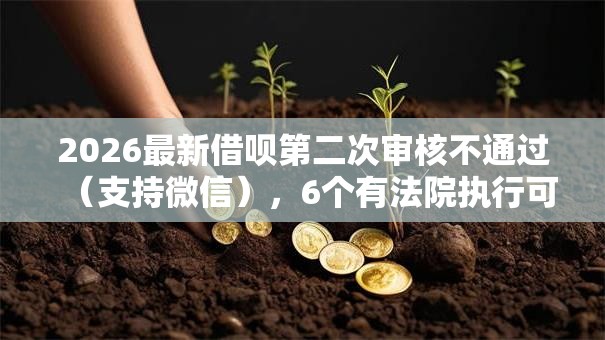 2026最新借呗第二次审核不通过（支持微信），6个有法院执行可以贷款的口子无私分享