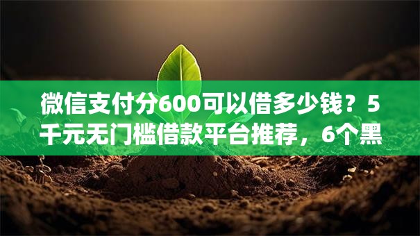 微信支付分600可以借多少钱？5千元无门槛借款平台推荐，6个黑户能下款的app口子盘点
