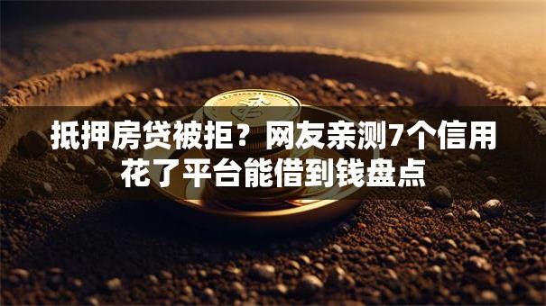 抵押房贷被拒？网友亲测7个信用花了平台能借到钱盘点