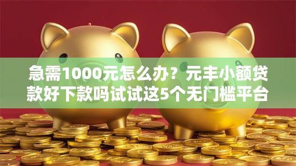 急需1000元怎么办？元丰小额贷款好下款吗试试这5个无门槛平台