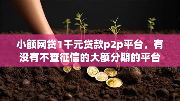 小额网贷1千元贷款p2p平台，有没有不查征信的大额分期的平台的6个平台介绍