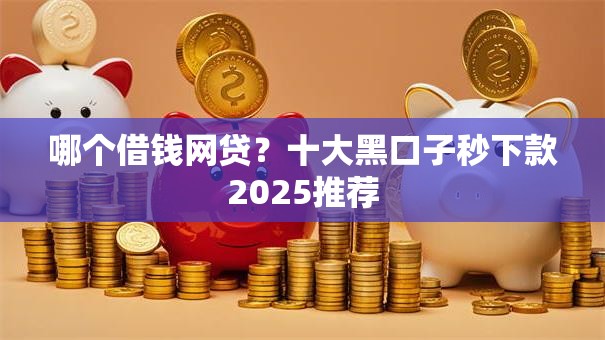 哪个借钱网贷？十大黑口子秒下款2025推荐