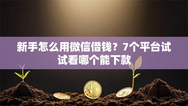 新手怎么用微信借钱？7个平台试试看哪个能下款