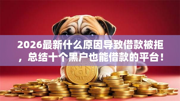 2026最新什么原因导致借款被拒，总结十个黑户也能借款的平台！