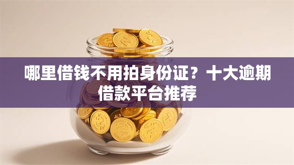 哪里借钱不用拍身份证？十大逾期借款平台推荐